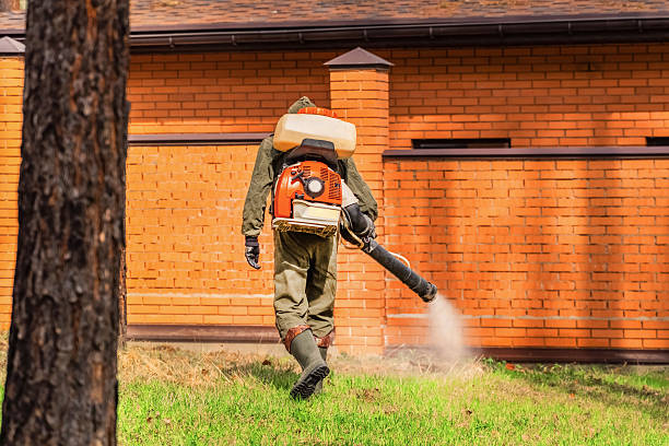 Bed Bug Clearance Verification and Documentation in Pitcairn